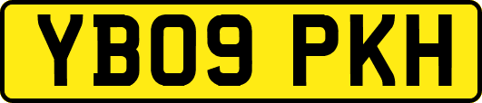 YB09PKH
