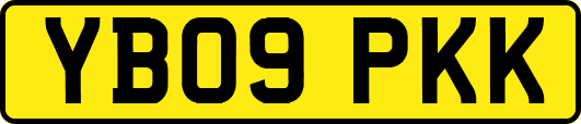 YB09PKK