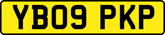 YB09PKP
