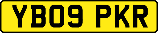 YB09PKR