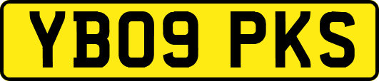 YB09PKS