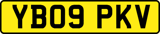 YB09PKV
