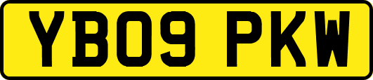 YB09PKW