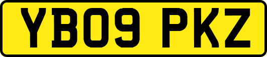 YB09PKZ
