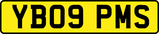 YB09PMS