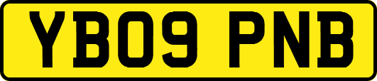 YB09PNB