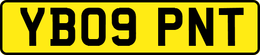 YB09PNT