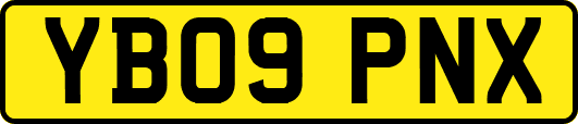 YB09PNX