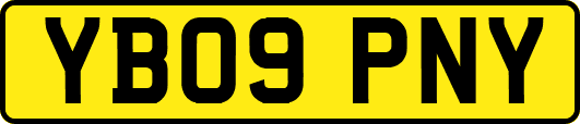 YB09PNY