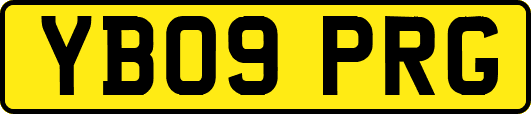 YB09PRG