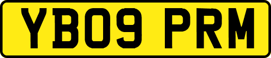 YB09PRM