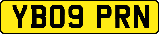 YB09PRN