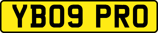 YB09PRO