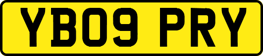 YB09PRY