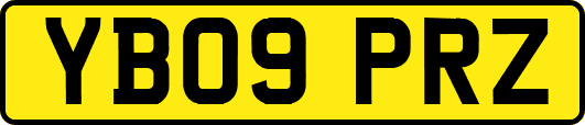 YB09PRZ