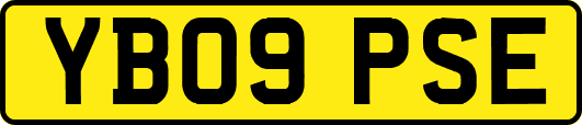 YB09PSE