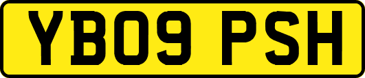 YB09PSH