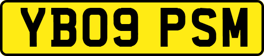 YB09PSM