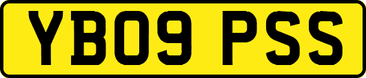 YB09PSS