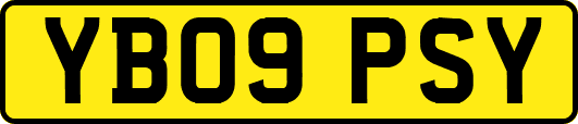 YB09PSY