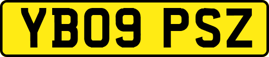 YB09PSZ