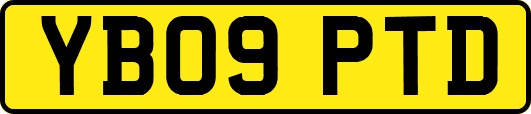 YB09PTD