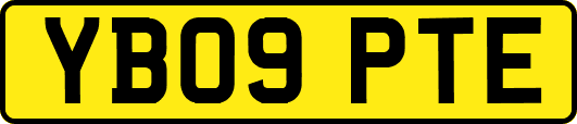 YB09PTE