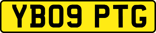 YB09PTG