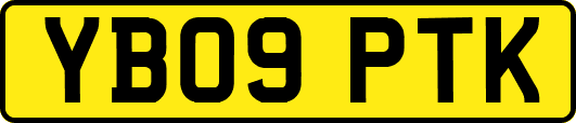 YB09PTK
