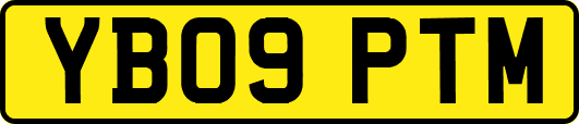 YB09PTM