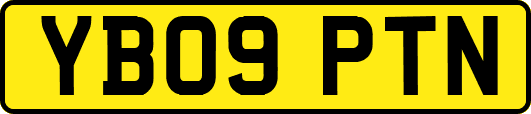 YB09PTN