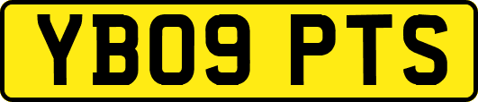 YB09PTS
