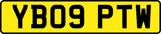 YB09PTW