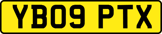 YB09PTX