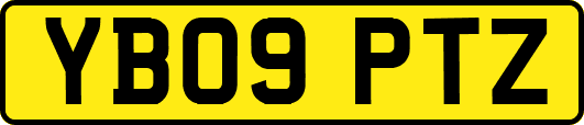 YB09PTZ