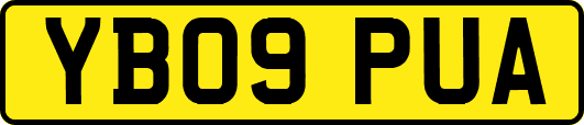 YB09PUA
