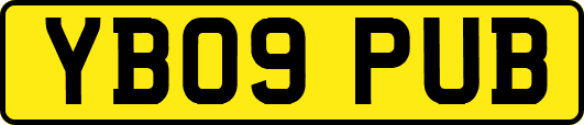 YB09PUB