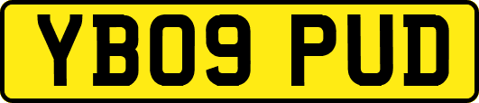 YB09PUD