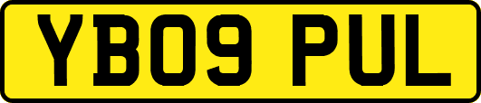 YB09PUL