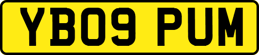YB09PUM