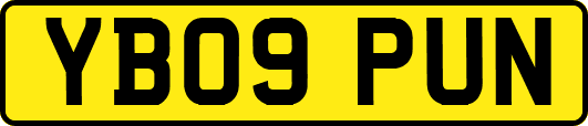 YB09PUN