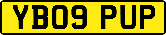 YB09PUP