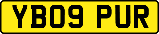 YB09PUR