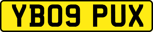 YB09PUX