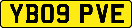 YB09PVE