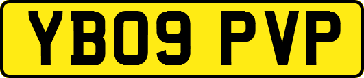 YB09PVP