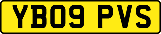 YB09PVS
