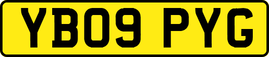 YB09PYG