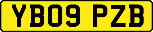 YB09PZB