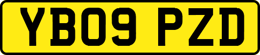 YB09PZD